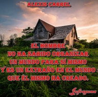 /album/fotogaleria/el-amor1-jpg/